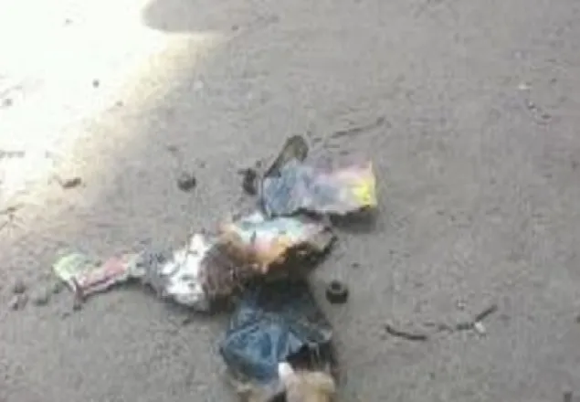 বিএনপির গণসংযোগে ককটেল ‘হামলা’