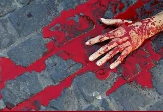 পল্লী বিদ্যুতের গাড়ি চাপায় তরুণী নিহত 