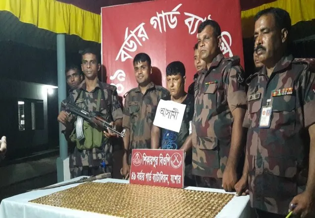 ভারতে পাচারের সময় ৭৩ কেজি স্বর্ণসহ আটক ১