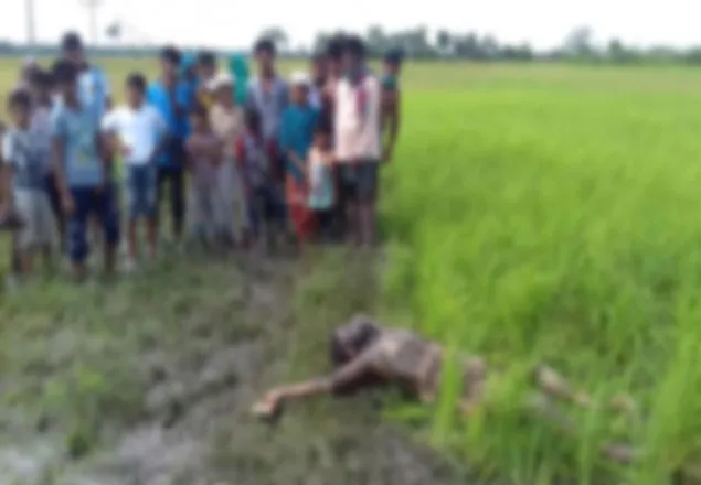 কুমিল্লায় বাড়ি থেকে ডেকে নিয়ে যুবককে হত্যা
