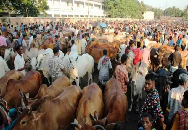 জাল টাকা ঠেকাতে হাটে মেশিন নিয়ে বসবে ব্যাংক