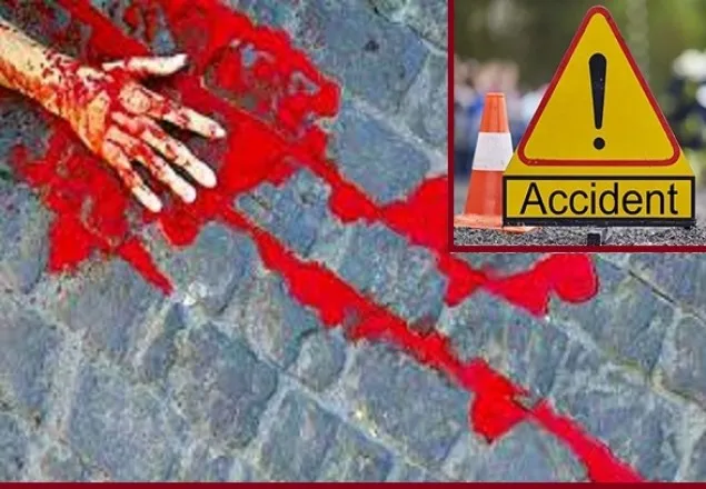 কারাগারে স্বামীকে দেখতে যাওয়ার পথে সড়কে ঝরলো ২ সন্তানের প্রাণ 