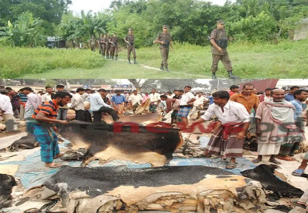 দামে ধস নামাতে সক্রিয় চামড়া পাচার সিন্ডিকে