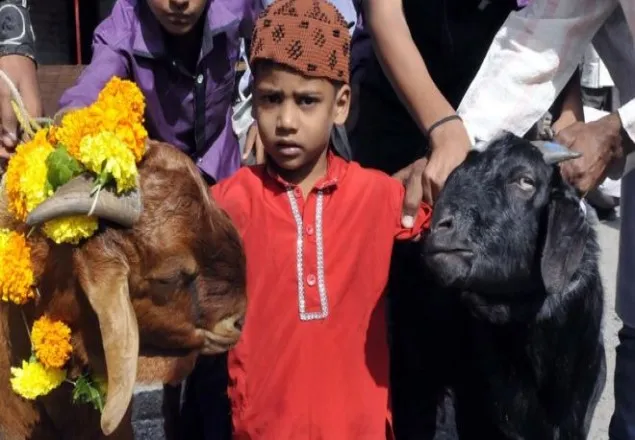 কোরবানির 'সেলফি' নিষিদ্ধ করা হয়েছে ভারতে