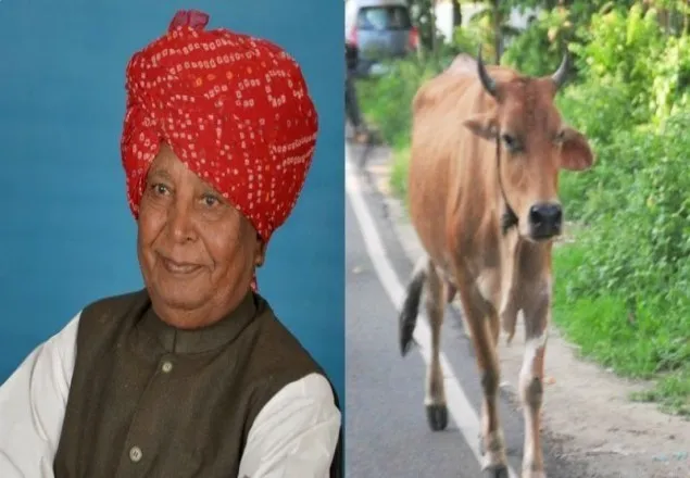 গরুর গুঁতায় আইসিইউতে বিজেপির এমপি