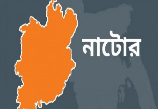 নাটোরে বিদ্যুৎস্পৃষ্টে আওয়ামী লীগ নেতার মৃত্যু