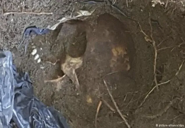 মেক্সিকোতে গণকবরের সন্ধান