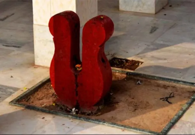 হিন্দুদের পশু বলি নিষিদ্ধ শ্রীলঙ্কায়