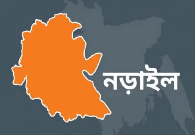 নড়াইলে মাদরাসার উপাধ্যক্ষসহ ১২ জামায়াত নেতা-কর্মী  গ্রেফতার