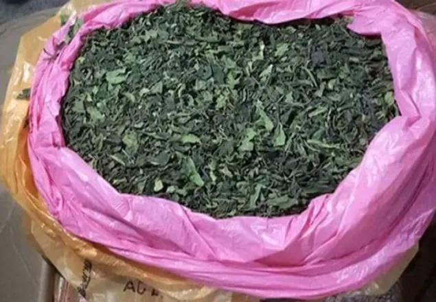 উত্তরায় ৩৯৫ কেজি এনপিএস মাদকসহ আটক ২