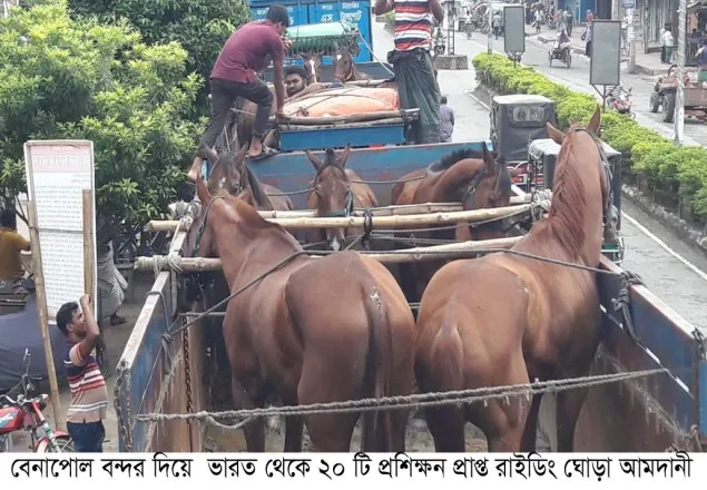 পুলিশের জন্য ভারত থেকে ২০টি প্রশিক্ষণ প্রাপ্ত ঘোড়া আমদানি