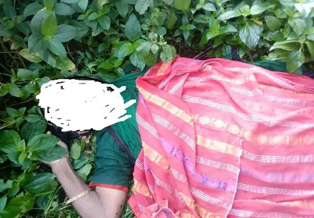 যশোরের শার্শায় অজ্ঞাত মহিলার লাশ উদ্ধার