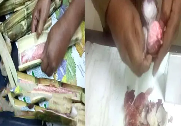 পেঁয়াজ, ইক্ষু, নারকেলের ভেতর অভিনব কায়দায় ইয়াবা পাঁচার