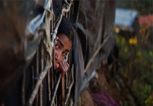 রোহিঙ্গাদের হত্যা-গণধর্ষণ সুপরিকল্পিত: মার্কিন রিপোর্ট
