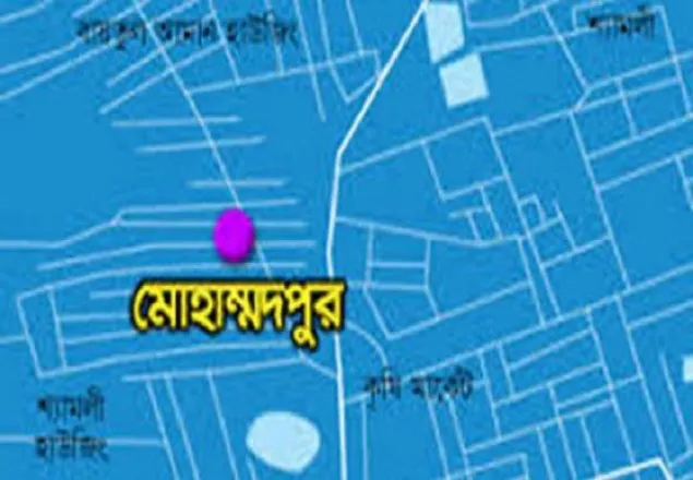 মোহাম্মদপুরে গ্যাসের আগুনে মা-ছেলে দগ্ধ