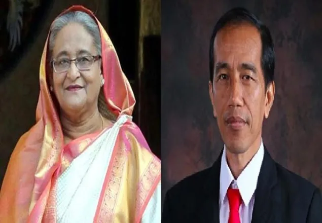 ইন্দোনেশিয়ার পাশে থাকার আশ্বাস প্রধানমন্ত্রীর