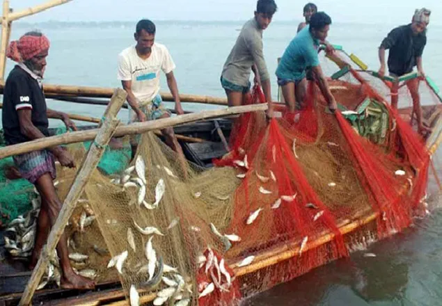 আজ রাত থেকে ২২ দিন ইলিশ ধরা বন্ধ