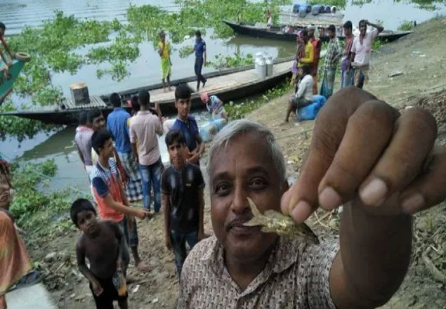 দুধের মধ্যে টেংরা মাছ!