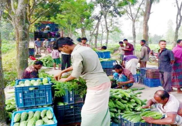 ঠাকুরগাঁওয়ে বাজারে শীতের আগাম সবজি