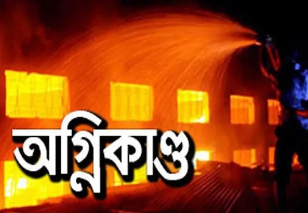 মোহাম্মদপুরে ওয়ালটনের গুদামে আগুন 