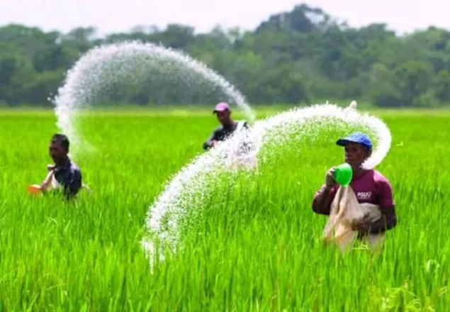 কৃষি ঋণে খেলাপি ৫ হাজার ৬৯৫ কোটি টাকা