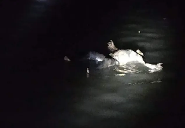 ভোলায় নদী থেকে অজ্ঞাত যুবকের অর্ধগলিত লাশ উদ্ধার