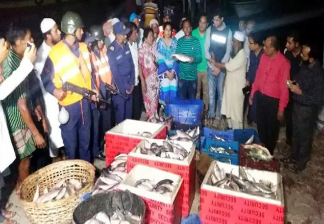 চাঁদপুরে ইউপি সদস্যের বাড়ি থেকে ৭'শ মণ মা ইলিশ জব্দ