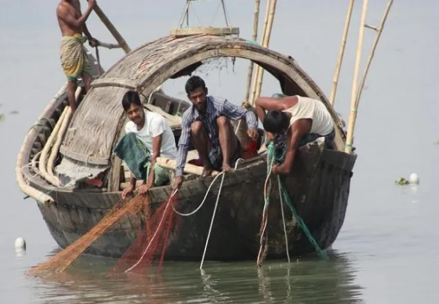 নিষেধাজ্ঞা শেষে ইলিশ ধরছেন জেলেরা