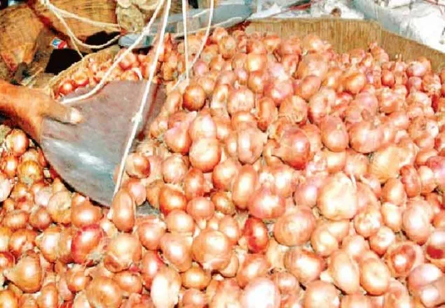চাহিদার ৭৩% দেশেই উৎপাদন হয়: পেঁয়াজের দাম নিয়ন্ত্রণ করে ভারত