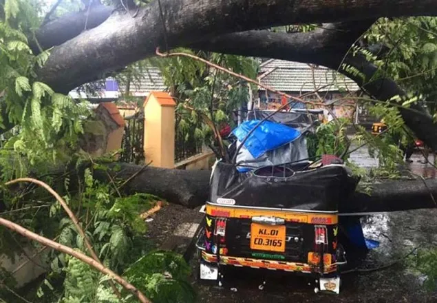 ভারতে ঘূর্ণিঝড়ে মৃতের সংখ্যা বেড়ে ৪৫