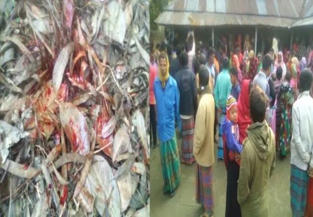 ঠাকুরগাঁওয়ে মাদ্রাসা ছাত্রের গলাকাটা লাশ উদ্ধার