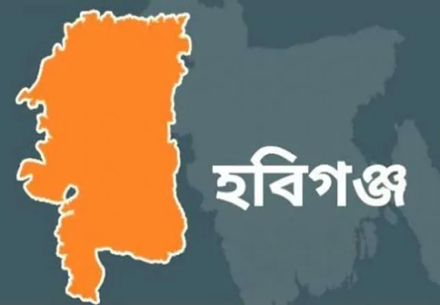 হবিগঞ্জে বাস খাদে পড়ে নিহত ১