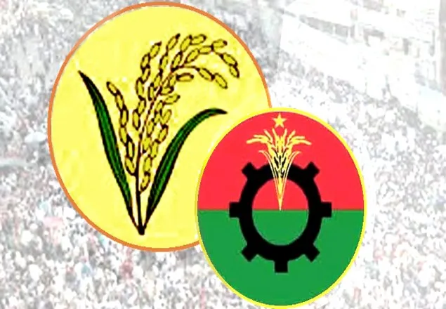 বিএনপির মনোনয়ন পেলেন যারা