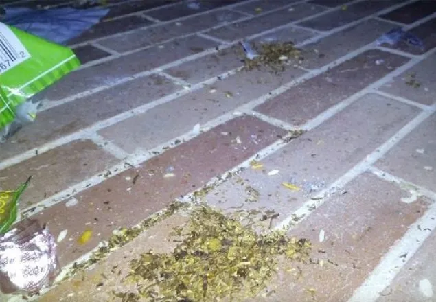 বিশ্ববিদ্যালয়ের শহীদ মিনারে চলে গাঁজার আসর