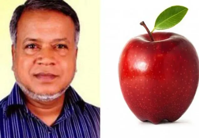 চাঁপাইনবাবগঞ্জ-৩: আপেল পেলেন জামায়াত নেতা বুলবুল