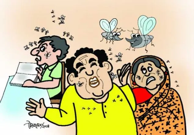  শীতের শুরুতেই ঢাকায় ভয়াবহ মশার উপদ্রব