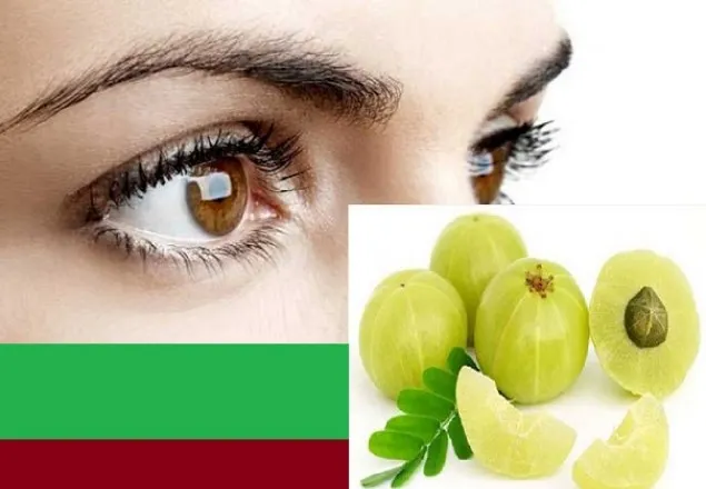 আমলকি দৃষ্টিশক্তি বৃদ্ধি করে!   