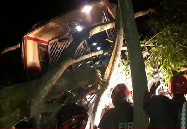 গোপালগঞ্জে বাস-মাহেন্দ্র সংঘর্ষে শিশুসহ নিহত বেড়ে ১১ 
