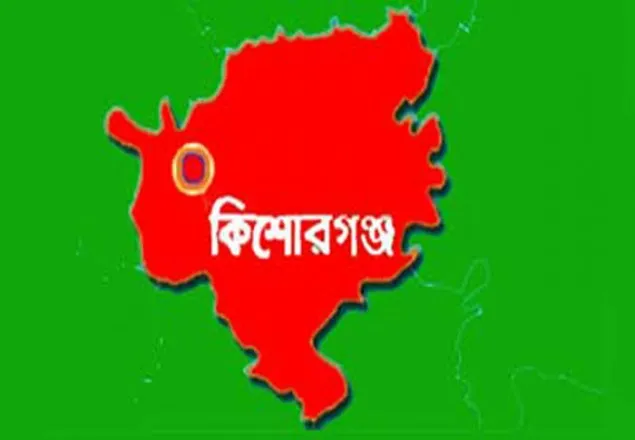 কিশোরগঞ্জে বিএনপি প্রার্থীর বাড়িতে হামলা, নিহত ১