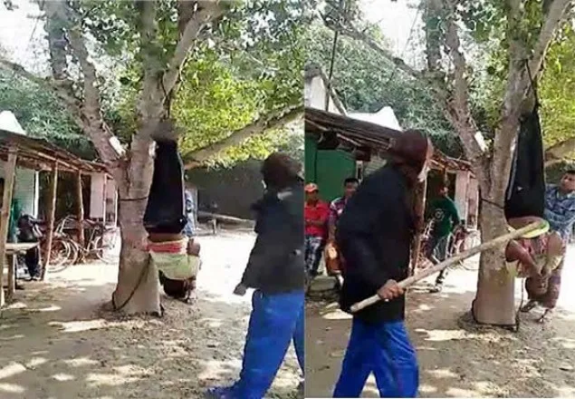 যুবককে গাছে ঝুলিয়ে নির্যাতন, আ.লীগ নেতা গ্রেফতার