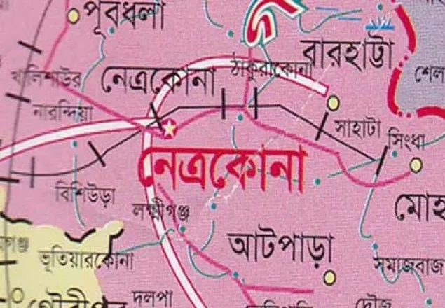 নেত্রকোনায় বাসের ধাক্কায় মা-ছেলে নিহত