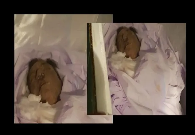 শোলাকিয়া সৈয়দ আশরাফের জানাজা সম্পন্ন