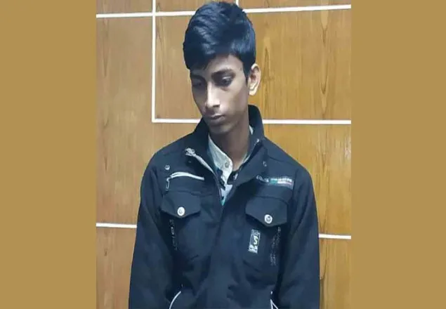 মায়ের ওপর নির্যাতনে ব্যথিত হয়ে বাবাকে হত্যা! 
