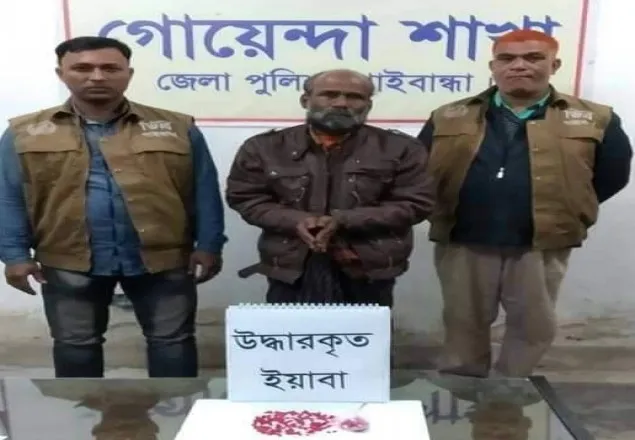 গাইবান্ধায় ৪১৫ পিস ইয়াবাসহ আটক ১
