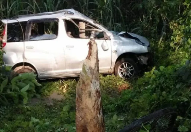 সোনারগাঁওয়ে মাইক্রোবাস খাদে পড়ে নিহত ৪
