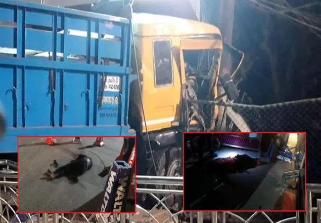 রাজধানীতে ট্রাক চাপায় দুই পথচারী নিহত
