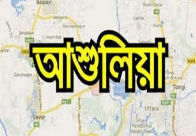 ওভারটেক করতে গিয়ে ট্রাক নদীতে