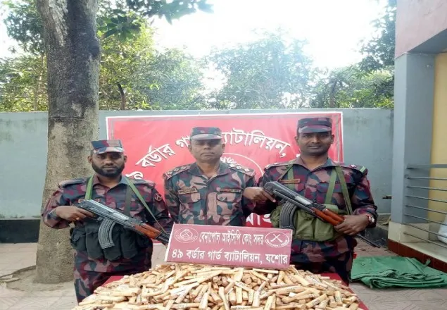 বেনাপোল সীমান্তে বিপুল পরিমাণ চন্দন কাঠ উদ্ধার