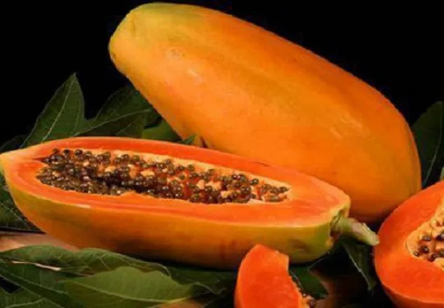 পুষ্টি গুণে ভরা পেঁপে!