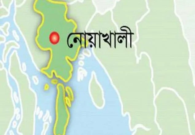 সোনাইমুড়িতে বজ্রপাতে চাচা-ভাতিজা নিহত